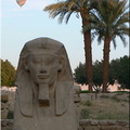 Egypte.2006 56