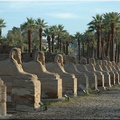Egypte.2006 59