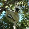 Madagascar_085_101.jpg