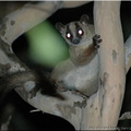 Madagascar_103_126.jpg