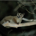 Madagascar_104_128.jpg